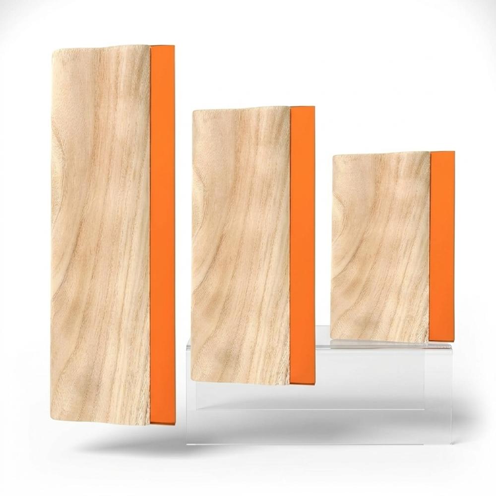 Set of Screen Printing Squeegees