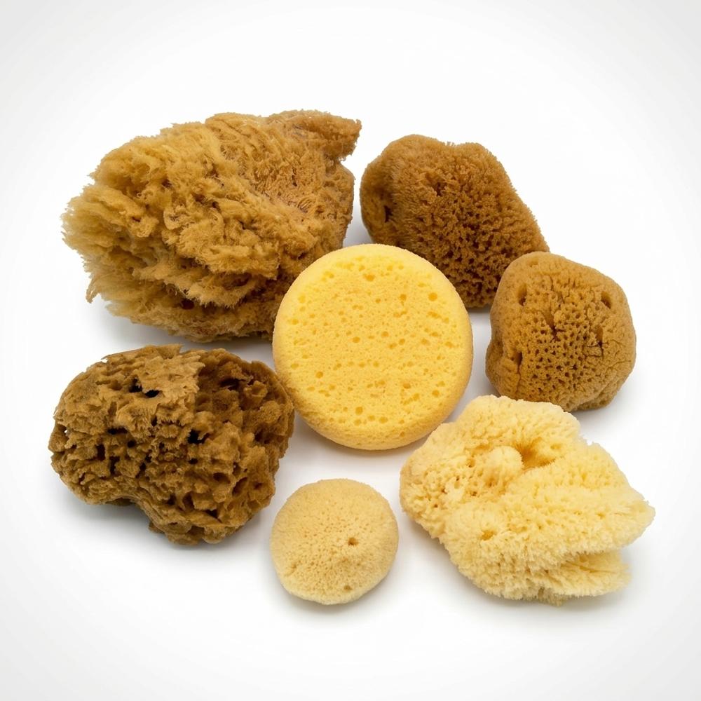Assorted Natural and Synthetic Sponges