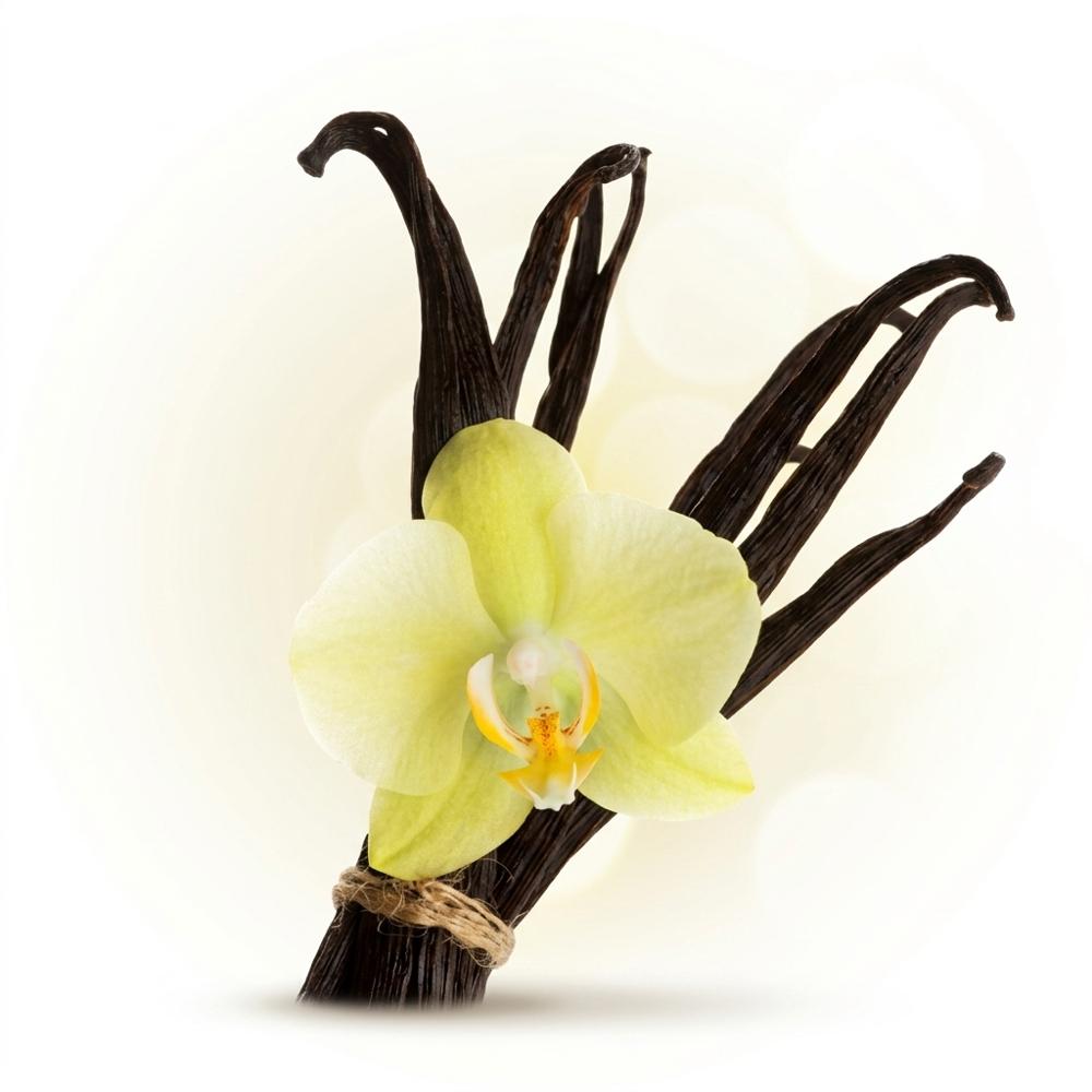 Scented Vanilla Fragrance Oil