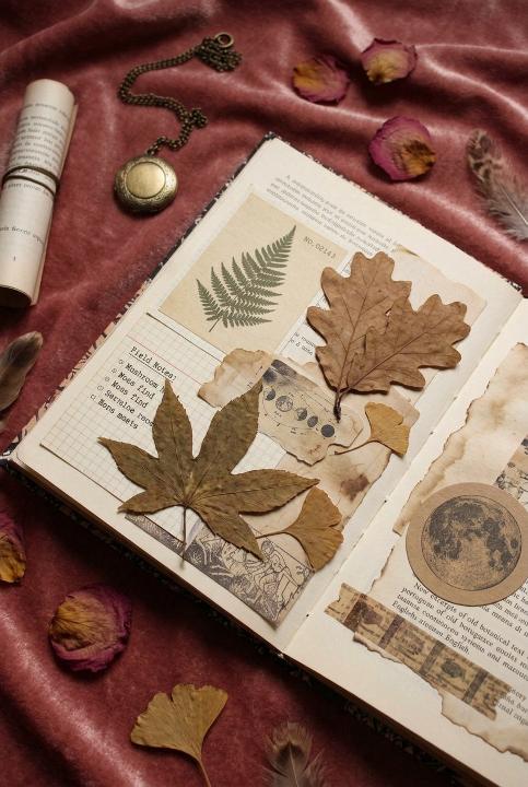 Pressed leaves over layered pages