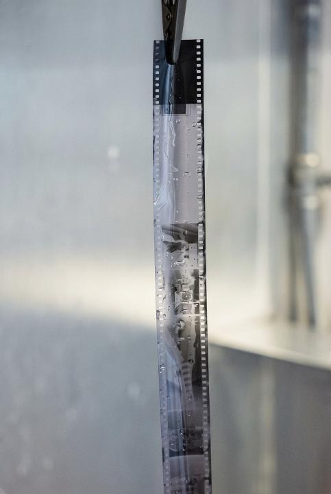 Negatives drying in window light