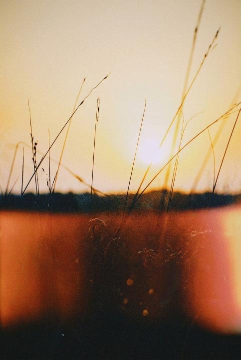 Sunset through a leaking camera