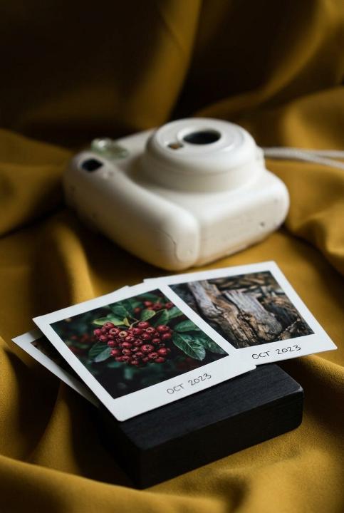 A small camera, mid-pack