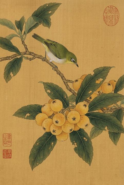 Loquats and a watching bird