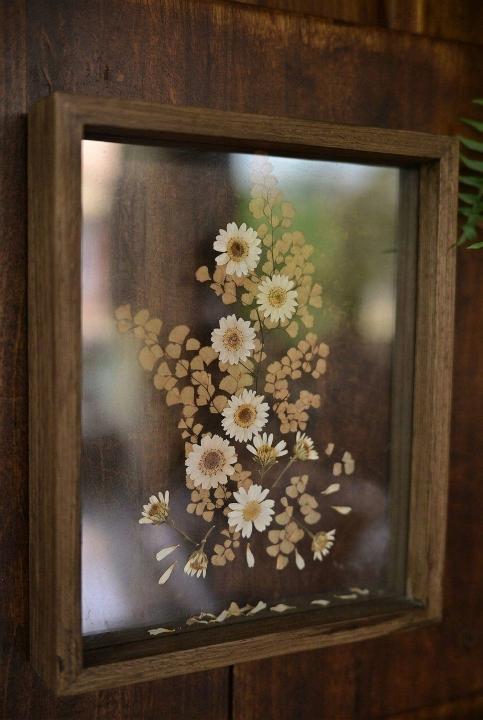 Daisies pressed against old glass