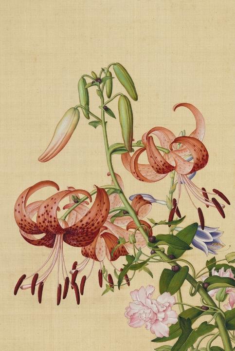 Tiger lilies, freckle by freckle
