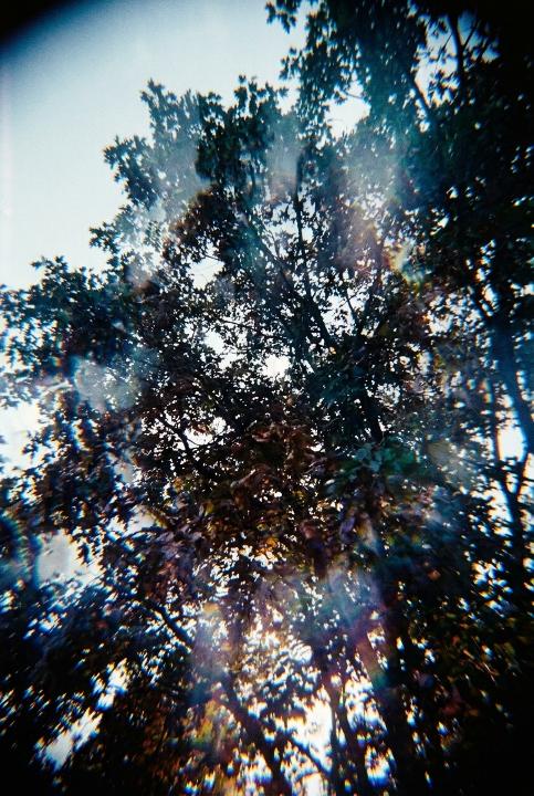 Two frames, one piece of film