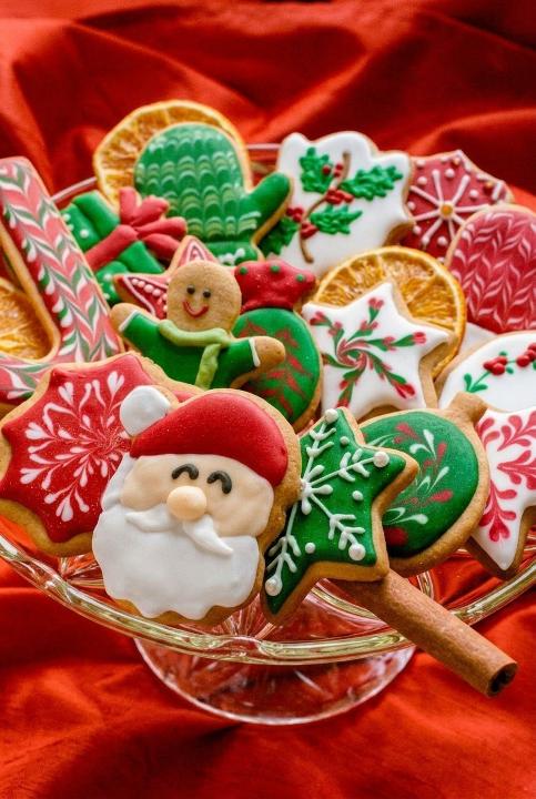 A whole plate under the tree