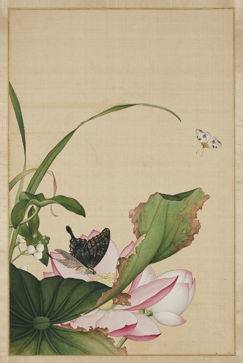 Butterflies over an open lotus