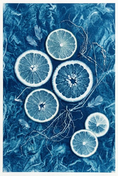Lemon slices on colour paper